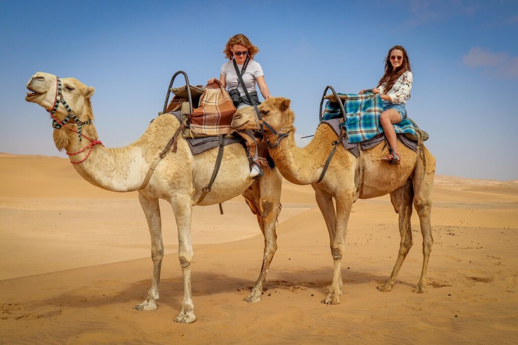 Desert safari dubai price