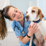 Park Hills Animal Hospital
