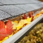 gutter cleaning burwood