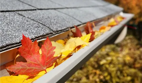 gutter cleaning burwood